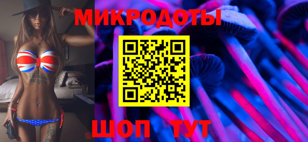 Псилоцибиновые грибы Psilocybe  Вход с VPN  Мурманск 